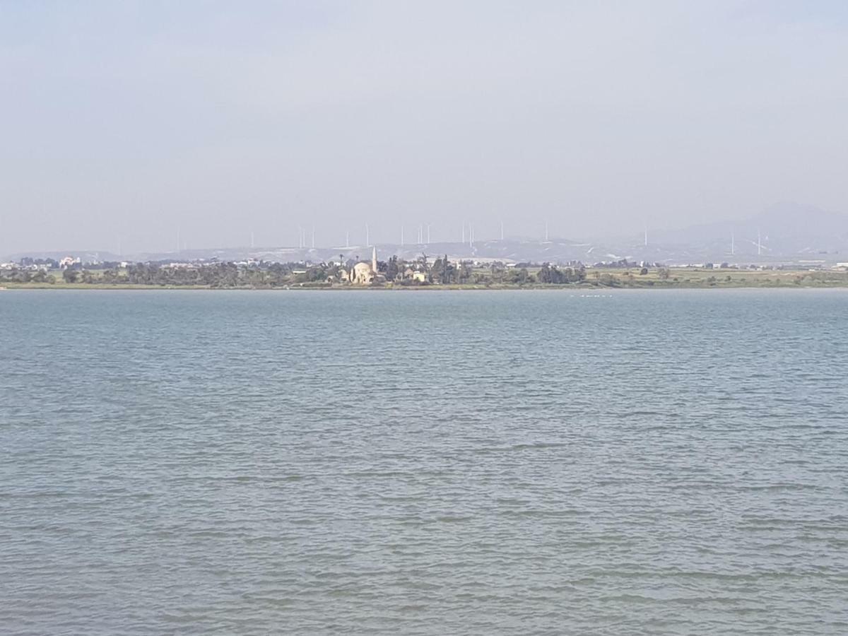 Haig'S Dream Flat On The Beach Larnaca Dış mekan fotoğraf